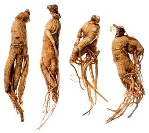 Semillas Ginseng
