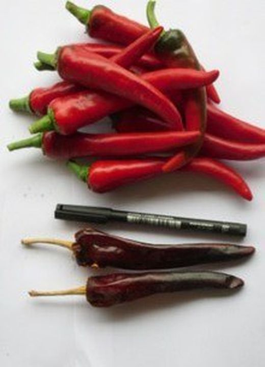 Semillas Guindilla Larga Roja