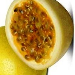 Semillas Maracuyá