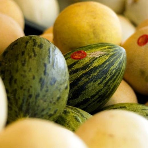 Semillas Melones