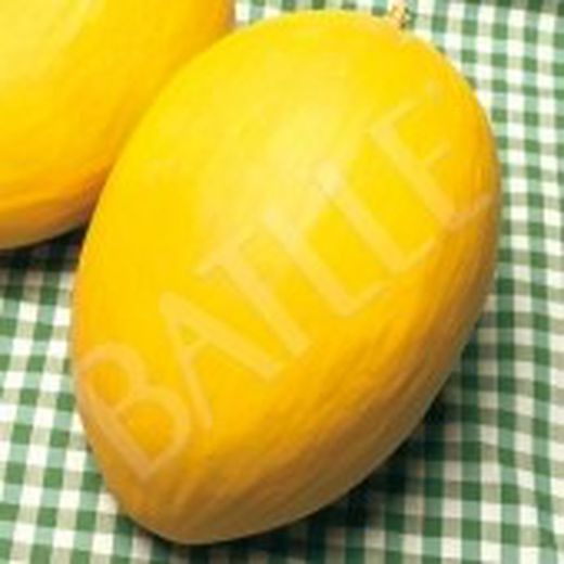 Semillas Melones