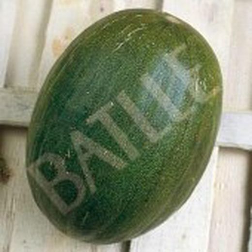 Semillas Melones