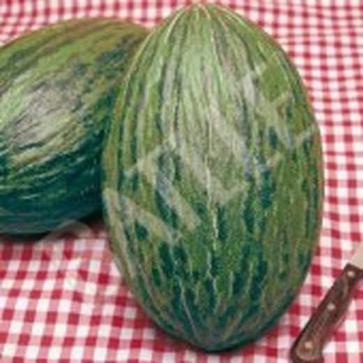 Semillas Melones