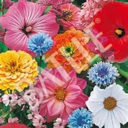 Semillas Mezclas de Flores