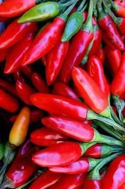 Semillas Peperoncino Italiano