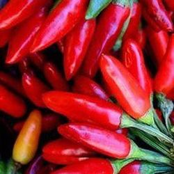 Semillas Peperoncino Italiano
