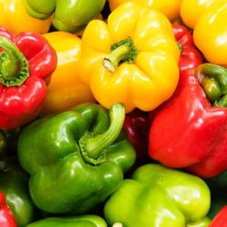 Semillas Pimientos