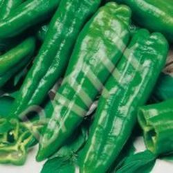 Semillas Pimientos