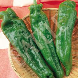 Semillas Pimientos