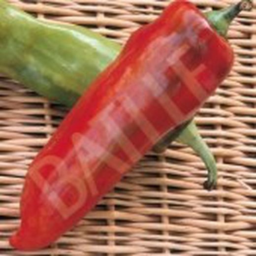 Semillas Pimientos