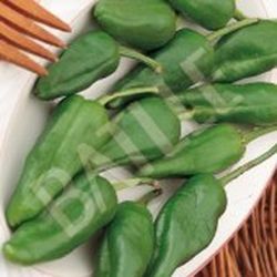 Semillas Pimientos