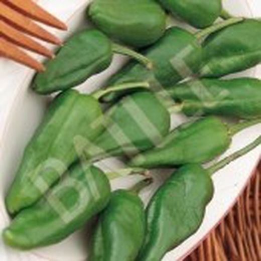 Semillas Pimientos