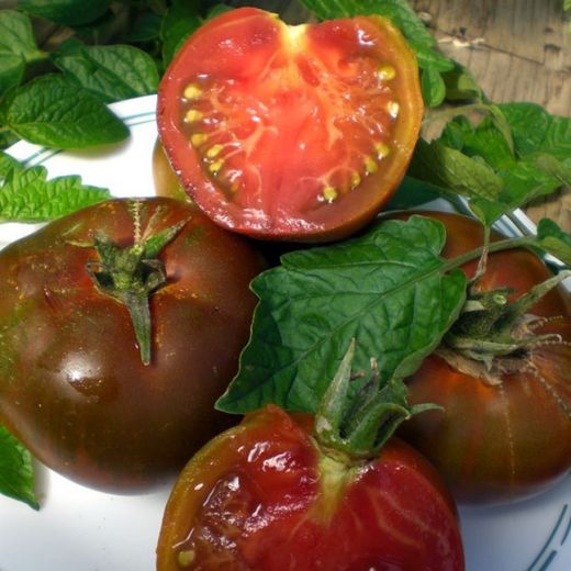 Semillas Tomates