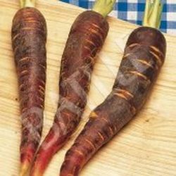 Semillas Zanahorias