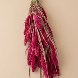 Setarea natural seca
