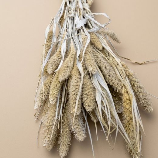 Setarea natural seca