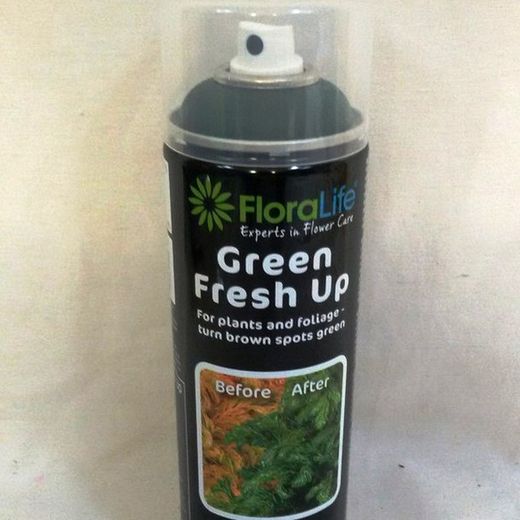 Spray Floristería Topiaria