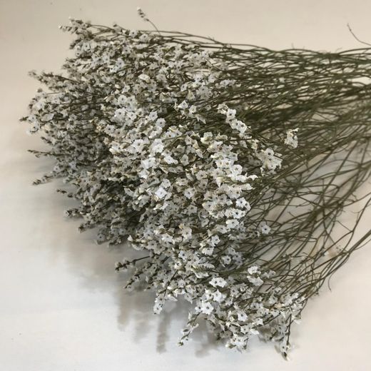 Limonium Statice Confeti seca