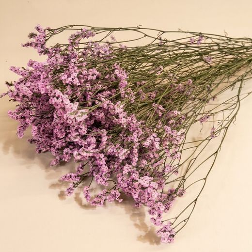 Limonium Statice Confeti seca