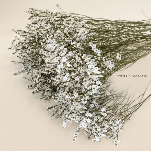 Limonium Statice Confeti seca
