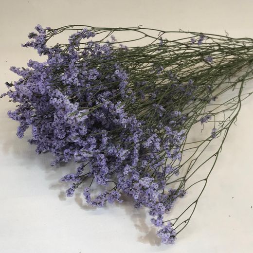 Limonium Statice Confeti seca