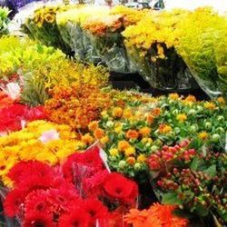 Suscripcion Flor Quincenal 24,50 € cada 15 días
