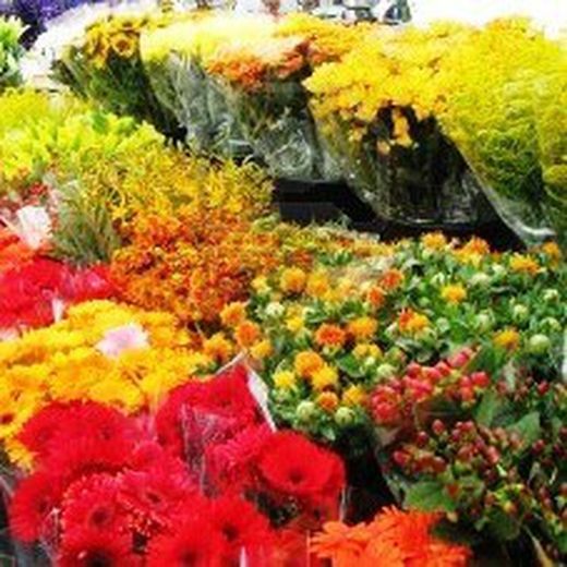 Suscripcion Flor Quincenal 24,50 € cada 15 días