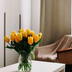 Suscripcion Flor Quincenal 24,50 € cada 15 días