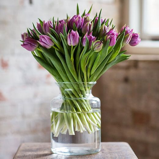 Suscripcion Flor Quincenal 24,50 € cada 15 días