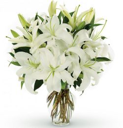 Suscripcion Flor Quincenal 24,50 € cada 15 días
