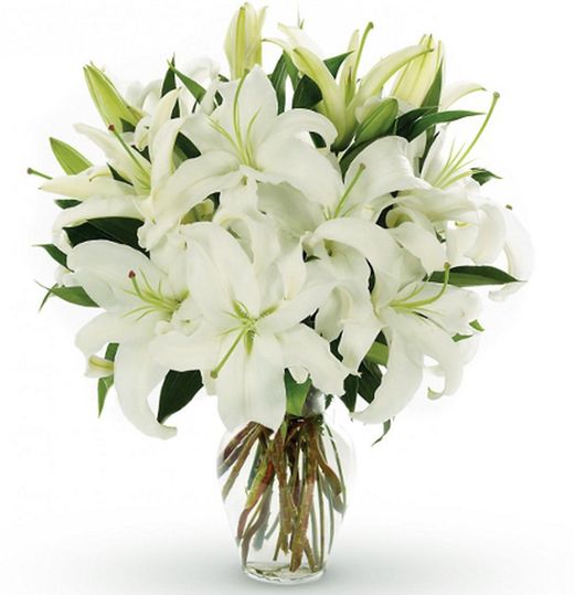 Suscripcion Flor Quincenal 24,50 € cada 15 días
