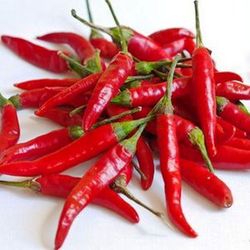 thaïlandais