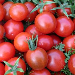Tomate cereja Bio