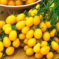 Tomates Cherry Pera
