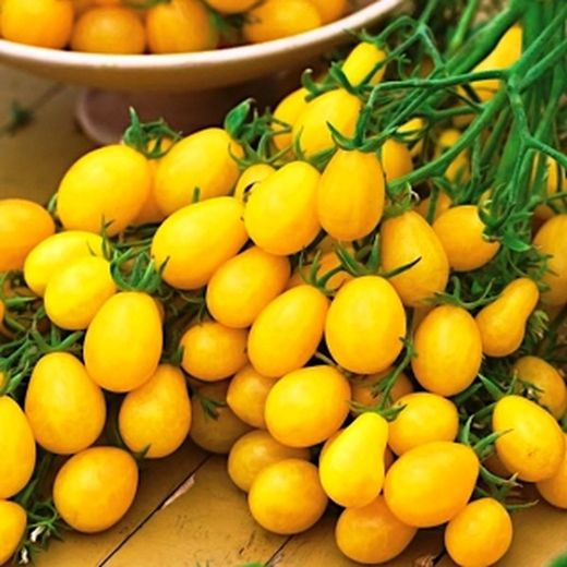 Tomates Cherry Pera