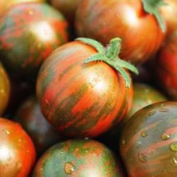 Tomates Cherry Pera
