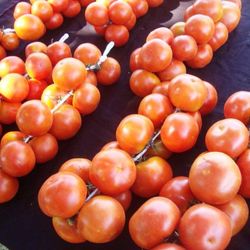 Tomates de colgar