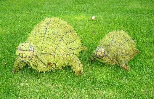 Tortugas