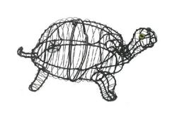 Tortugas