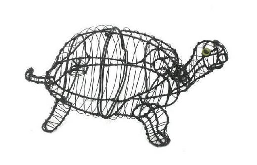 Tortugas