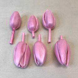 Tulipes préservées Boîte de 6 unités.