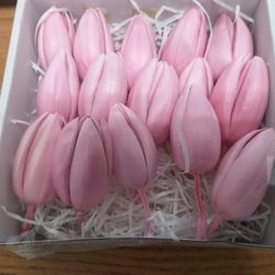 Tulipes préservées Boîte de 6 unités.