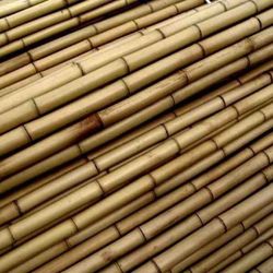 Tutores de Bambú