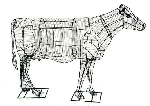 Vacas