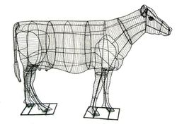 Vacas