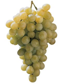 Vides (Uvas)