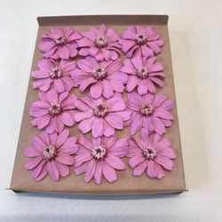 Zinnia préservé
