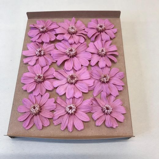Zinnia préservé