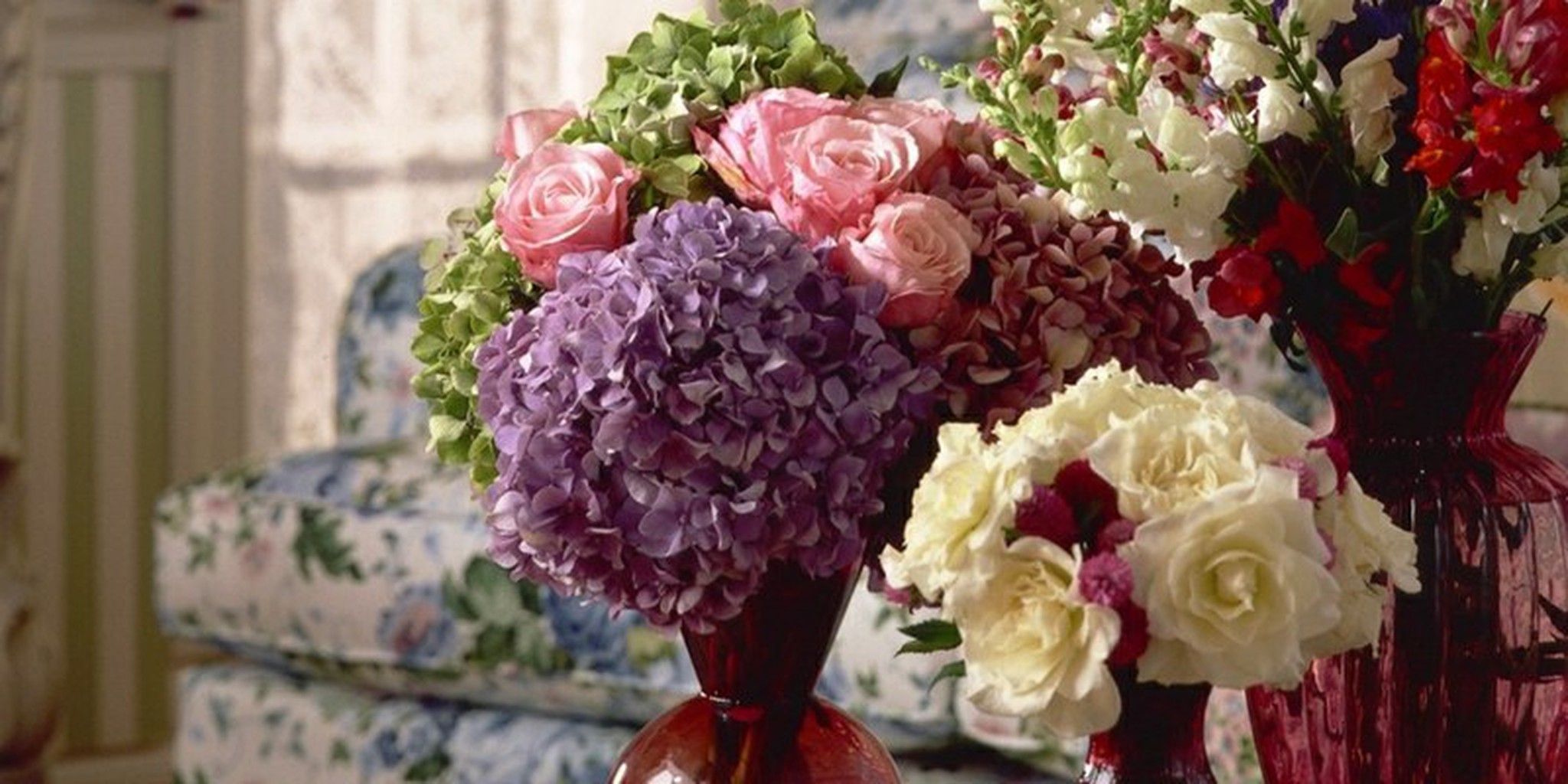 Hogar lleno de vida...