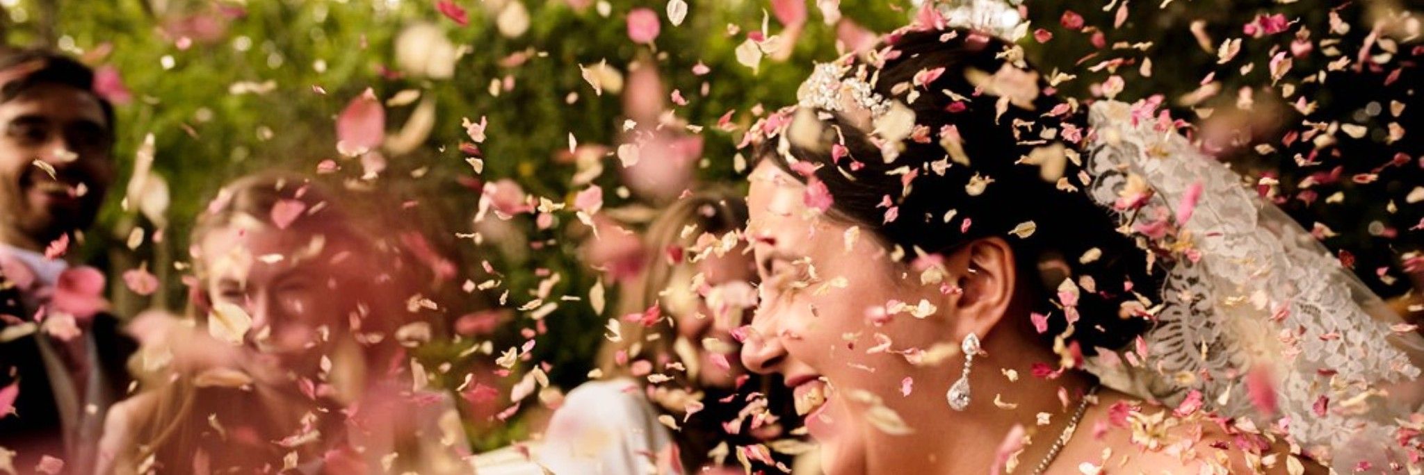 Pétalos de rosas para bodas y eventos